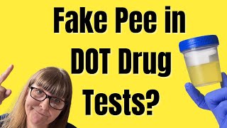 Can You Fool a DOT Drug Test with Synthetic Urine?