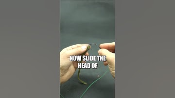 How to rig a rubber worm like a PRO!💡 ✅️