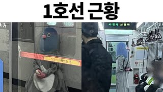 웃긴 짤들 481편