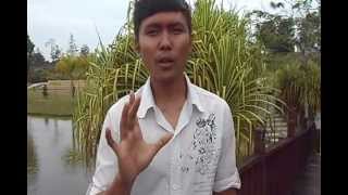 Kepentingan Bersarapan (konsep kesihatan & gaya hidup sihat )