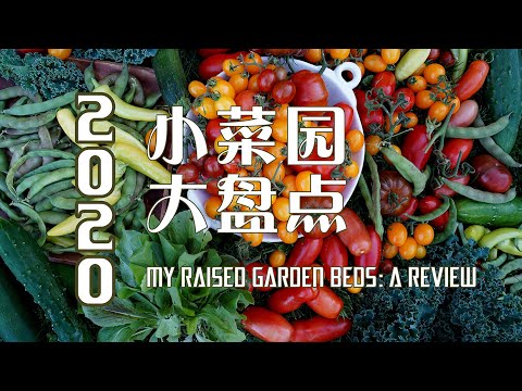 2020年小菜园大盘点    MY RAISED GARDEN BEDS 2020: A REVIEW (中英文字幕、CHINESE & ENGLISH SUBTITLES)