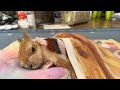 2022/12/14 モキュさんのモーニングタイム