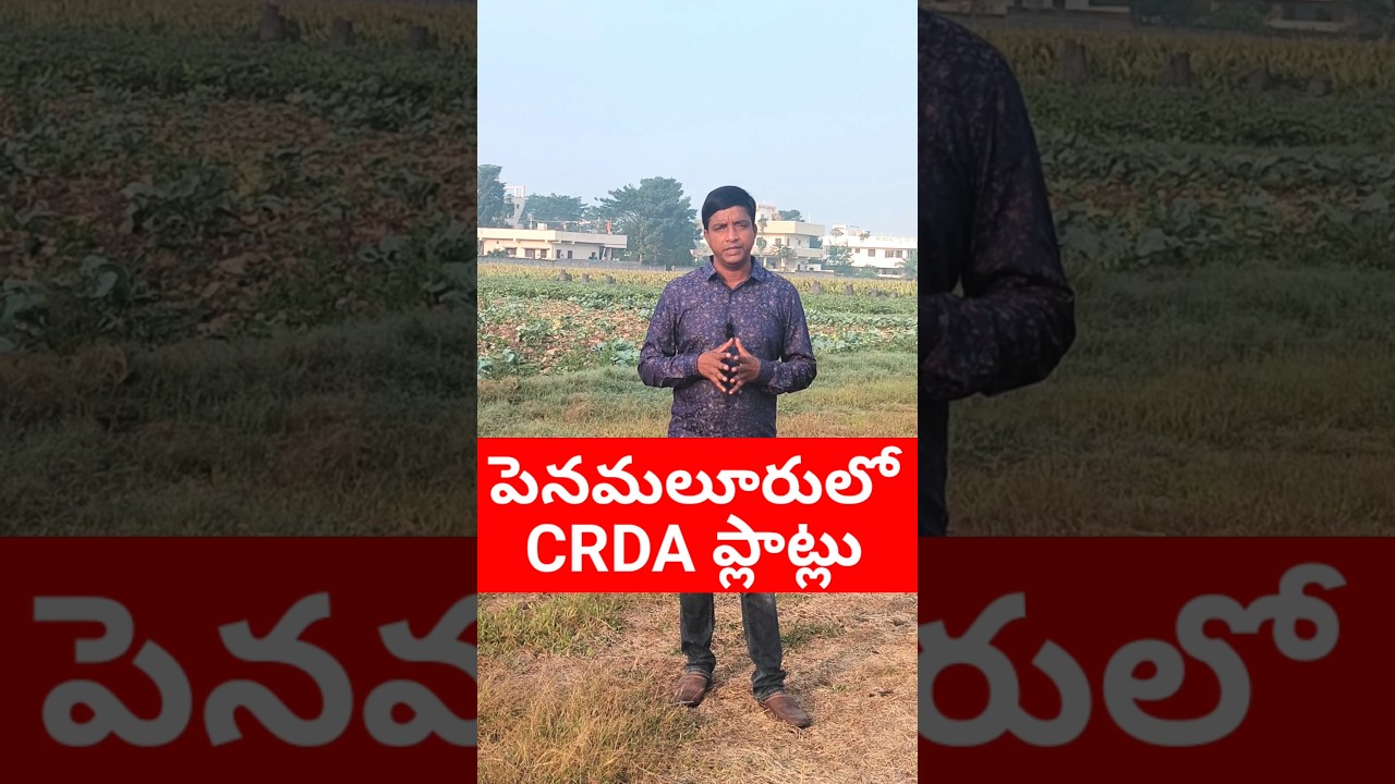 Plots for sale in Penamaluru near Poranki and Tadigadapa @ Vijayawada 