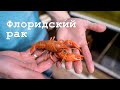 Флоридский рак (Луизианский) как альтернатива АККР