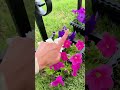 These solar planters make the perfect Mothers Day gifts!