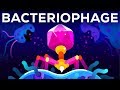 The Deadliest Being on Planet Earth – The Bacteriophage ...