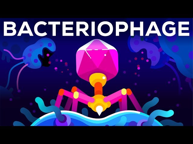 The Deadliest Being on Planet Earth – The Bacteriophage class=