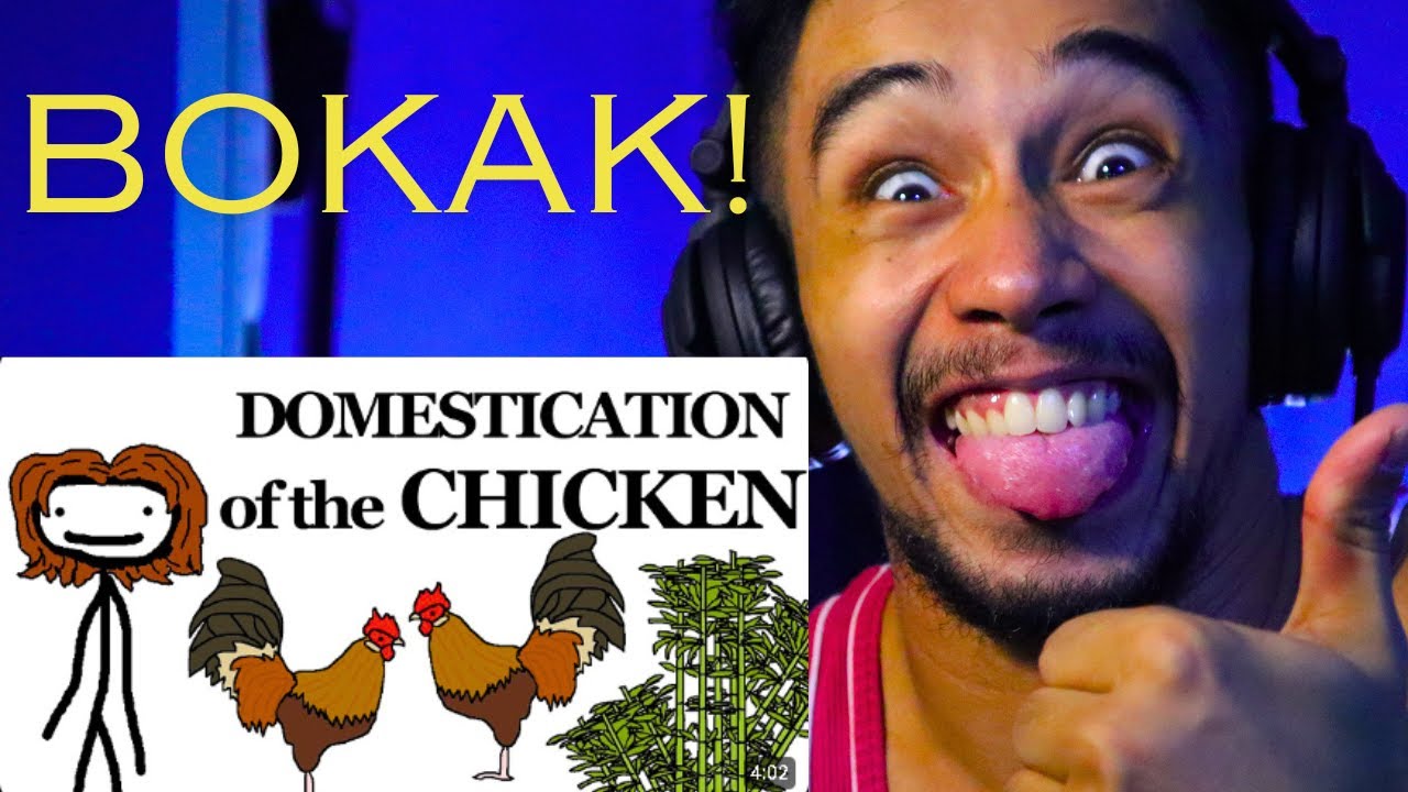 Why the Chicken Got Domesticated FIRST TIME REACTION