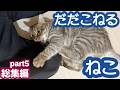 飼い主が出かけようとすると、甘えん坊猫がこうなるので出かけられません笑 　#cat #ねこ
