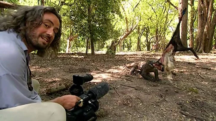 Richard's Front of Camera showreel MvM season 1 2011
