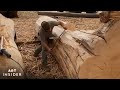 How Custom Log Homes Are Built