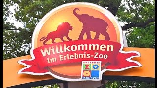 The Hannover Adventure Zoo - As Experienced by A German-American Couple in Germany