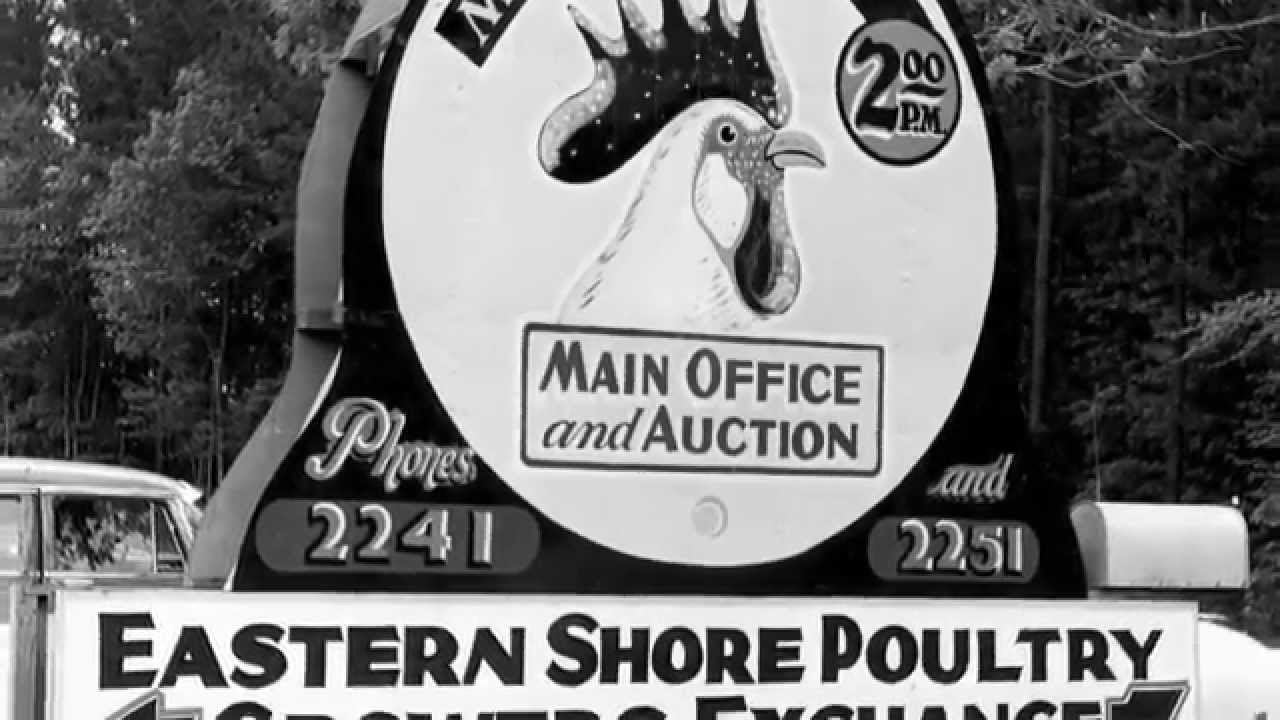 Cluck, pluck and luck recommendations Cluck, pluck and luck advise