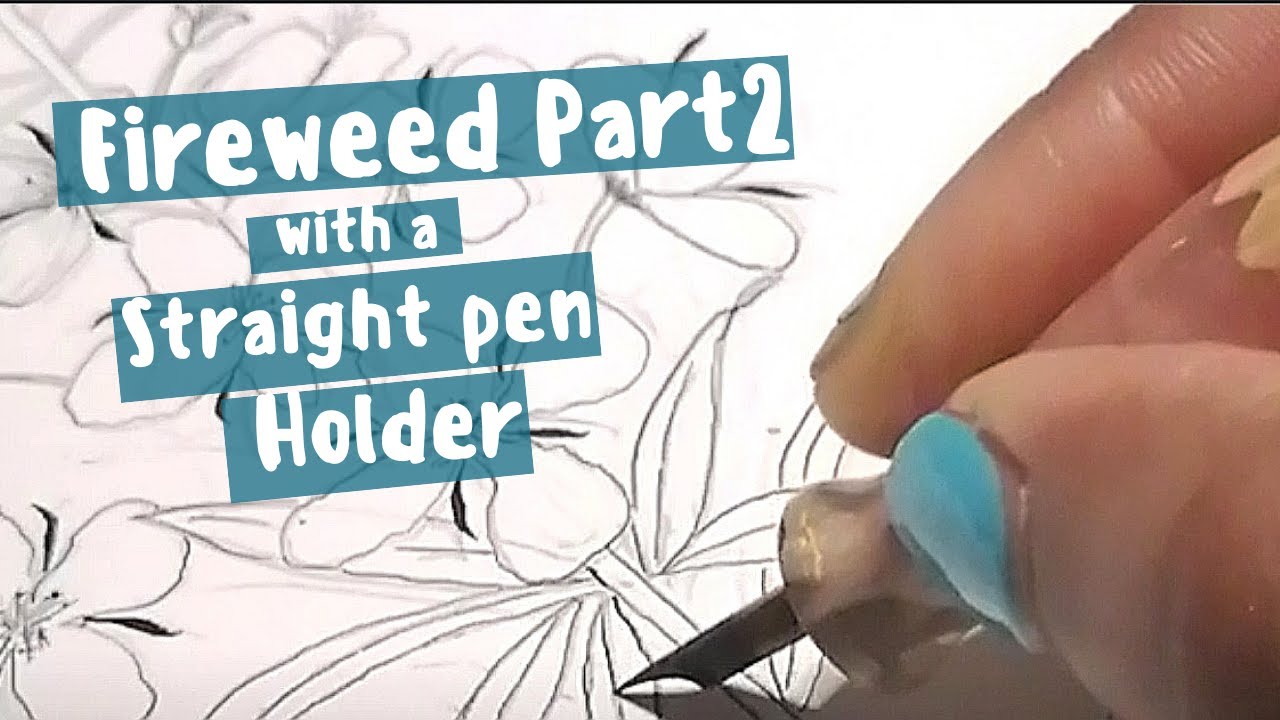 Fireweed Part 2 and 2 Tips to Drawing with the Straight pen holder