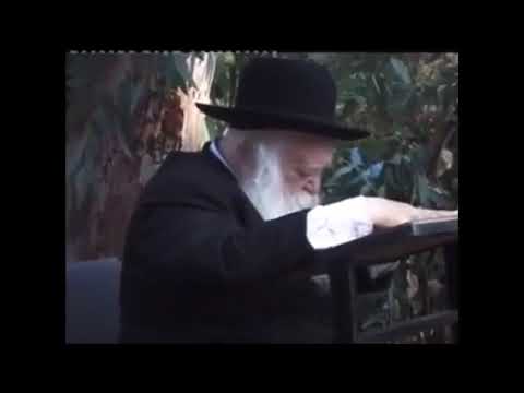 📖חיתוך הסכך והשקיעות בלימוד בין האילנות: מנהיג היהדות החרדית מרנא רבי חיים קניבסקי קודם חג הסוכות