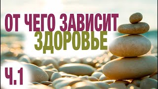 Отчего зависит здоровье? Часть 1 | Инесса Чижова