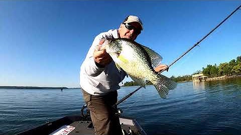 Slaying Post Spawn Slabs on Lake Seminole. Big Crappie Fishing