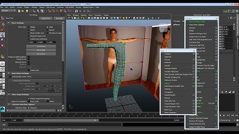 Maya Digital Humans 3:Torso, arms and legs.