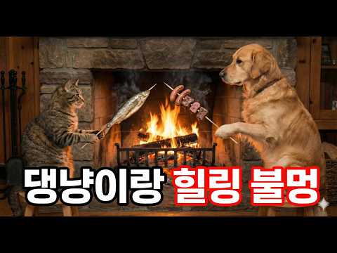 고양이 강아지 직화 구이 힐링 불멍, 누가더 맛있게 굽나, 당신의 선택은? 구이 asmr