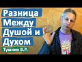 РАЗНИЦА МЕЖДУ ДУШОЙ И ДУХОМ • ВАСИЛИЙ ТУШКИН