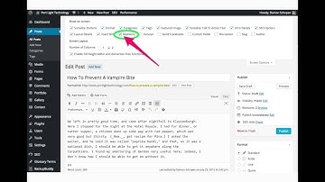 How To Use Revision History In WordPress To Undo Mistakes