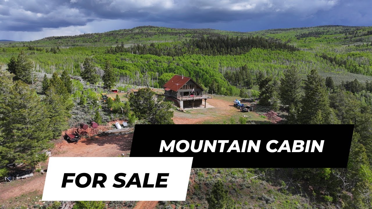 Mountain Cabin for Sale Walk Through YouTube