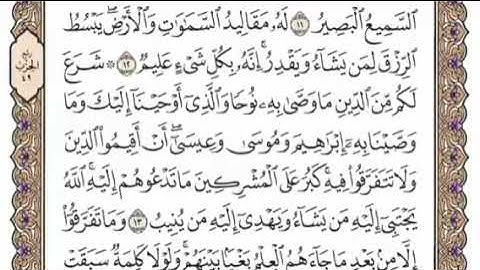 سورة الشورى الشيخ محمد ايوب صفحة ٤٨٤