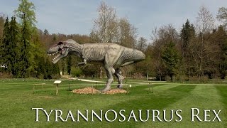 Tyrannosaurus Rex - Volčji Potok - Arboretum