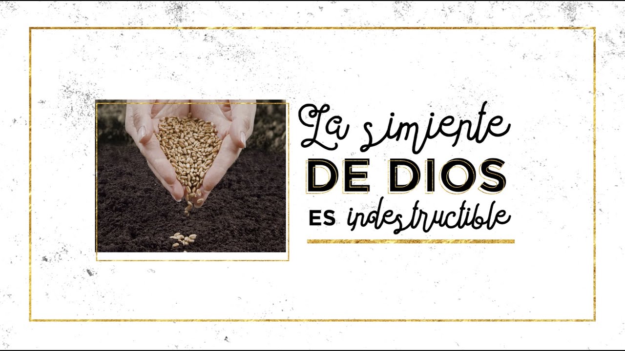 La Simiente De Dios Es Indestructible - Ps. Jose Emerito Gonzalez camera iphone 8 plus apk