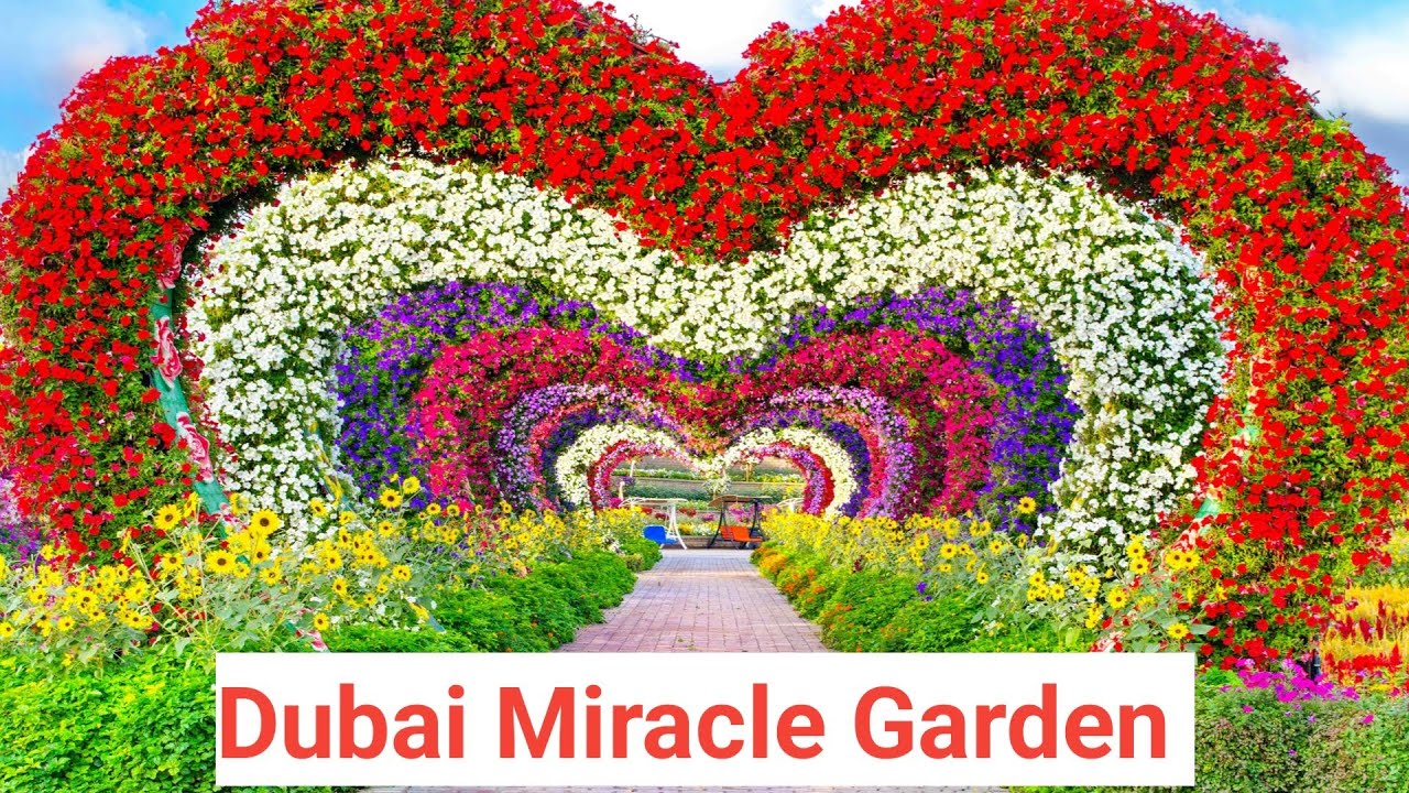 🍃🌻කාන්තරක මෙහෙම තැනක්🌹🤗 හබීගේ Birthday එකත් පොඩිවට සැමරුවා.🥰