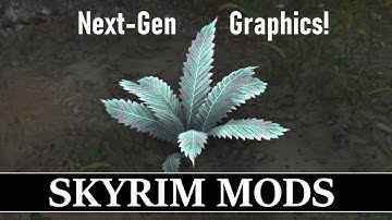 Skyrim is BEAUTIFUL with these Mods (Xbox)