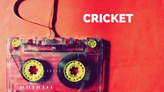 Oe Oe E Oe O A E - Cricket RMX