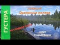 Русская рыбалка 4 - озеро Старый Острог - Густера с плотвой