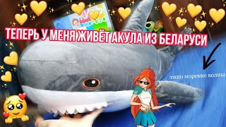 Как стать счастливее за минуту 33 секунды? / Новая Акула - простой секрет счастья 😆 screenshot 3