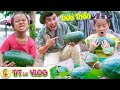 QUẢ DƯA HẤU thần kì : Sóc & Thỏ và Bác nông dân | Dậy trẻ ngoan - Câu chuyện ý nghĩa | TITus VLOG