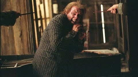 Peter Pettigrew Reveald