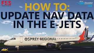 FSS E-JETS - कस्टम FMS में नेविगेशन डेटाबेस को कैसे अपडेट करें [4K] screenshot 1