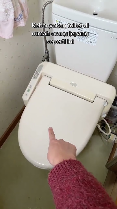 Bagian toilet Jepang yang beda dari yang lain