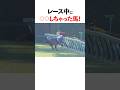 レース中に〇〇しちゃった馬7選