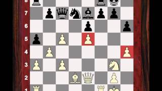 Vishy Anand vs Ding Liren - Brief commentary #27 - Alekhine Memorial 2013 (Chessworld.net)