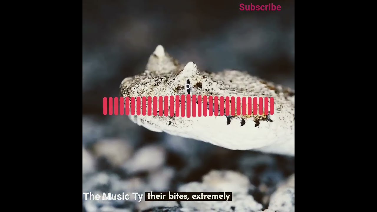 Snakes Bite Snake Halflife