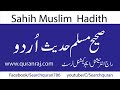 Sahih muslim hadith 384