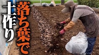 【これで美味しい野菜が作れます】山から落ち葉を拾ってきて畑に入れました。【土作り】