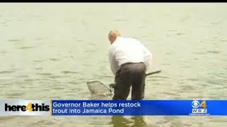 Governor Baker Helps Stock Trout In Jamaica Pond