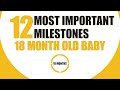 12 important milestones 18 month old baby