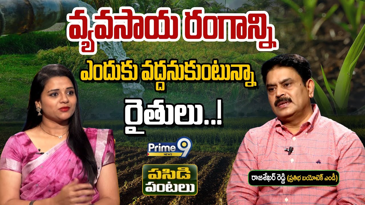 వ్యవసాయ రంగాన్ని ఎందుకు వద్దనుకుంటున్నా రైతులు..! | Pasidi Pantalu | Prime9 News