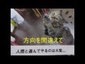 ミスターサマータイム替え歌