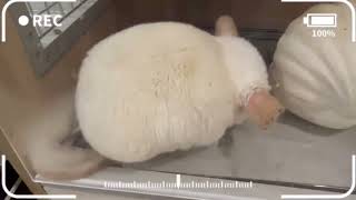 With Love, With Home, With You Here.