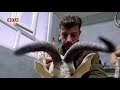 گەنجێک لە گەرمیان ئاژەڵ مۆمیا دەکات