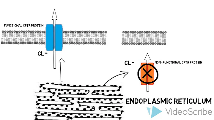 Class 5 mutations of CFTR
